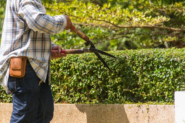 Garden Maintenance Yeading, UB4